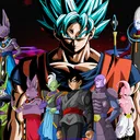 Fighter Z Family