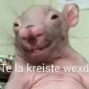 Empresa Wombats