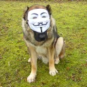 Anonym Studios