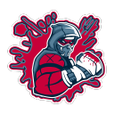 GamingZelle.net Server Icon