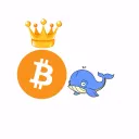Crypto Calls (Paid Group)