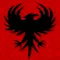 Ravenguard - Black Desert