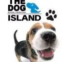 The Dog Island Speedrunning
