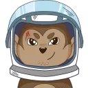 SPACEMONKEYS
