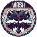 Amazing raccoon Server Icon