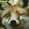 Dragons Of FoxDen