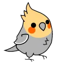 Nest