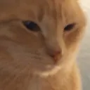 Palermo Chat