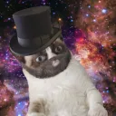 LeDiscordDesChats