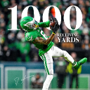 Discovery icon for r/eagles Subreddit Discord Discord server