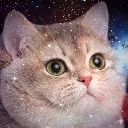 Team Thicc Discord Server Icon