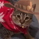 It's High Noon
