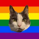 Homiesexuals