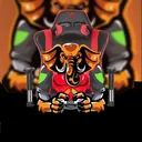 Stream Raiders