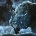 Wolf's Cave 🐺