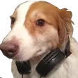 TwanCh4n