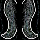 Feathers