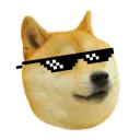 The Doggo Aliance