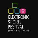 Electronic Sports Festival