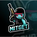 Mitgets private discord