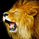 Paige IceSlinger( Lions)