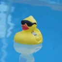 Rubber Ducks