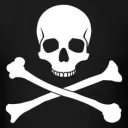 Skulcord