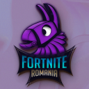 Fortnite România icon