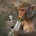 Bongs N Thongs