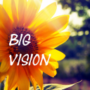 Big Vision Server Icon