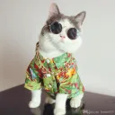 Cataribean