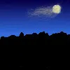 Shadowelfs Schattenwald