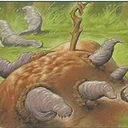 Legacy Food Chain