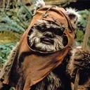 Ewoks (Murder Bears)