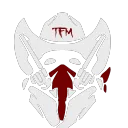 Task Force Marauder