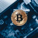 Mad Dog Crypto