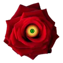 MajorasGarden