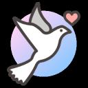 discord server