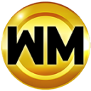 Walsh Magic Entertainment