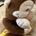 猿鯖