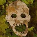 I am a Survivor Tabletop RPG Project Discord Server Icon