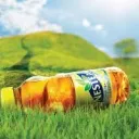 Nestea's Pub