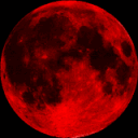  🩸 BloodMoon 🩸  Discord Server Icon