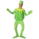 The Frog Cult