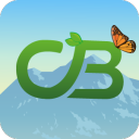 Caketropolis Discord Server Icon – Programming