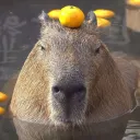 Rainscario