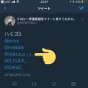 ドロシー杯ハミゴ3