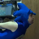 BoundHedgie's Realm