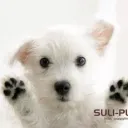 Skamilinux