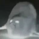 Jef21's Discord Group